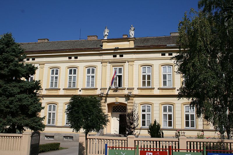 У сусрет Дану школе