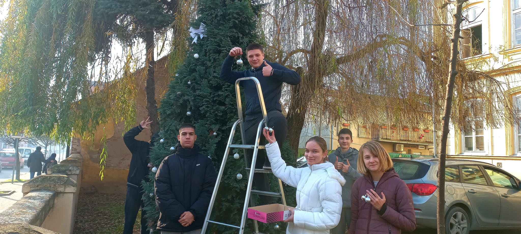 Јелка у дворишту наше школе