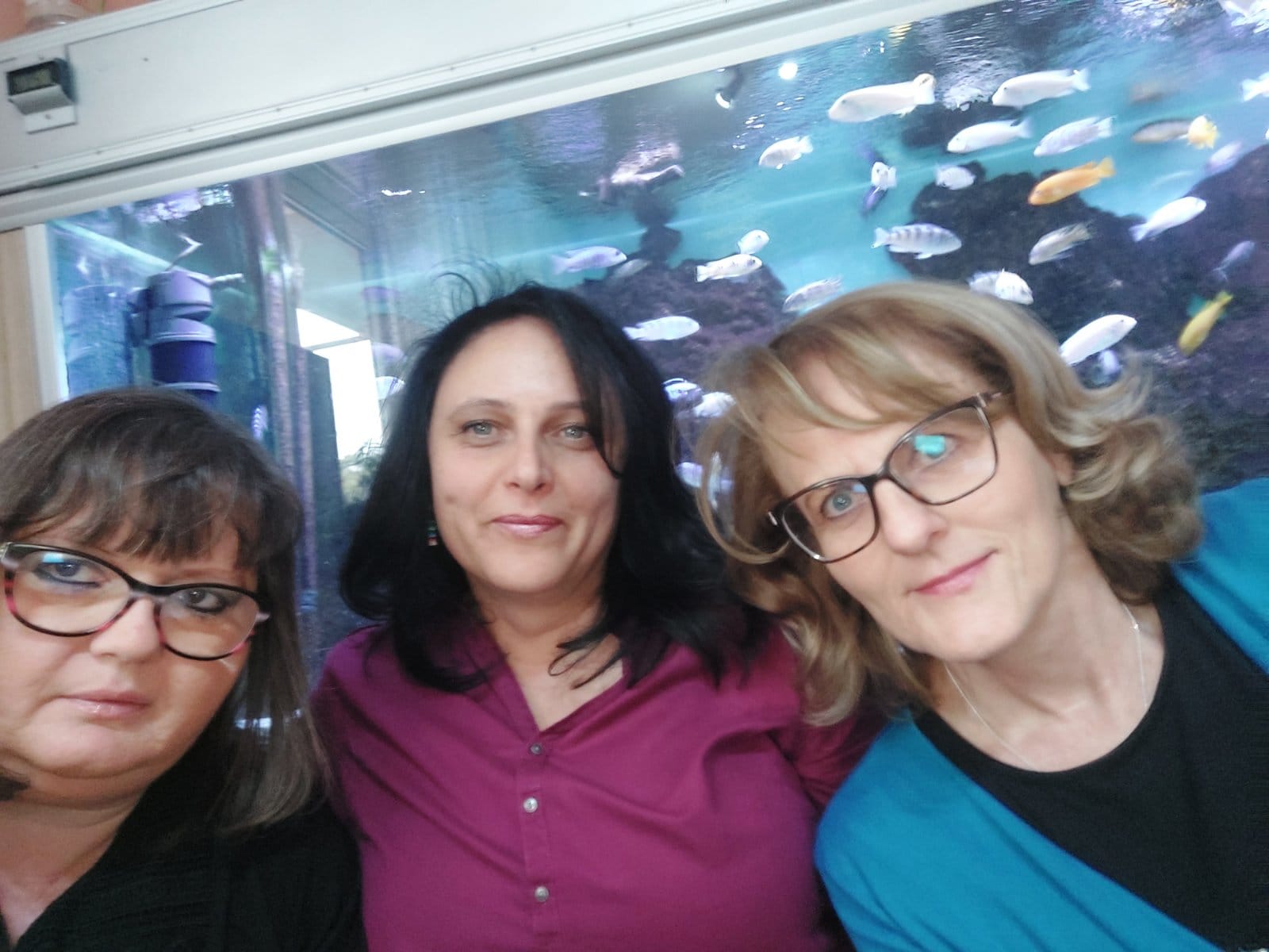 Презентација добре наставне праксе - Сабор учитеља Србије - 26.11.2023.