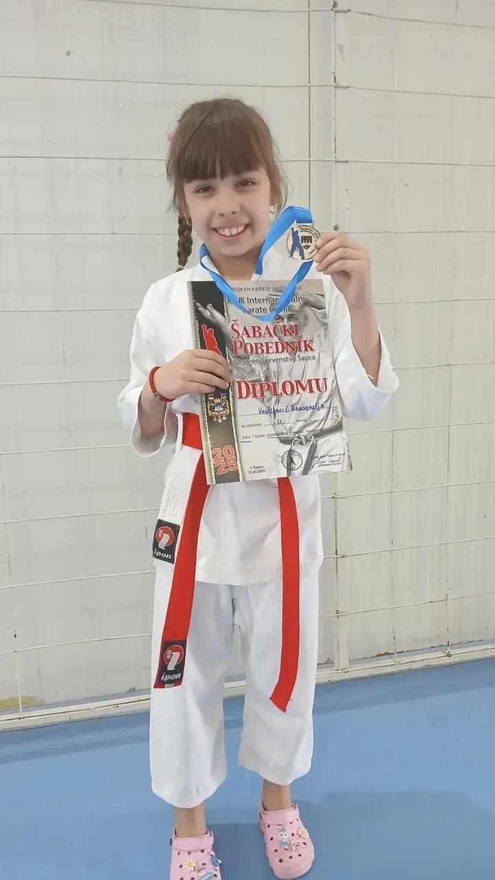 Наши успеси ван школе