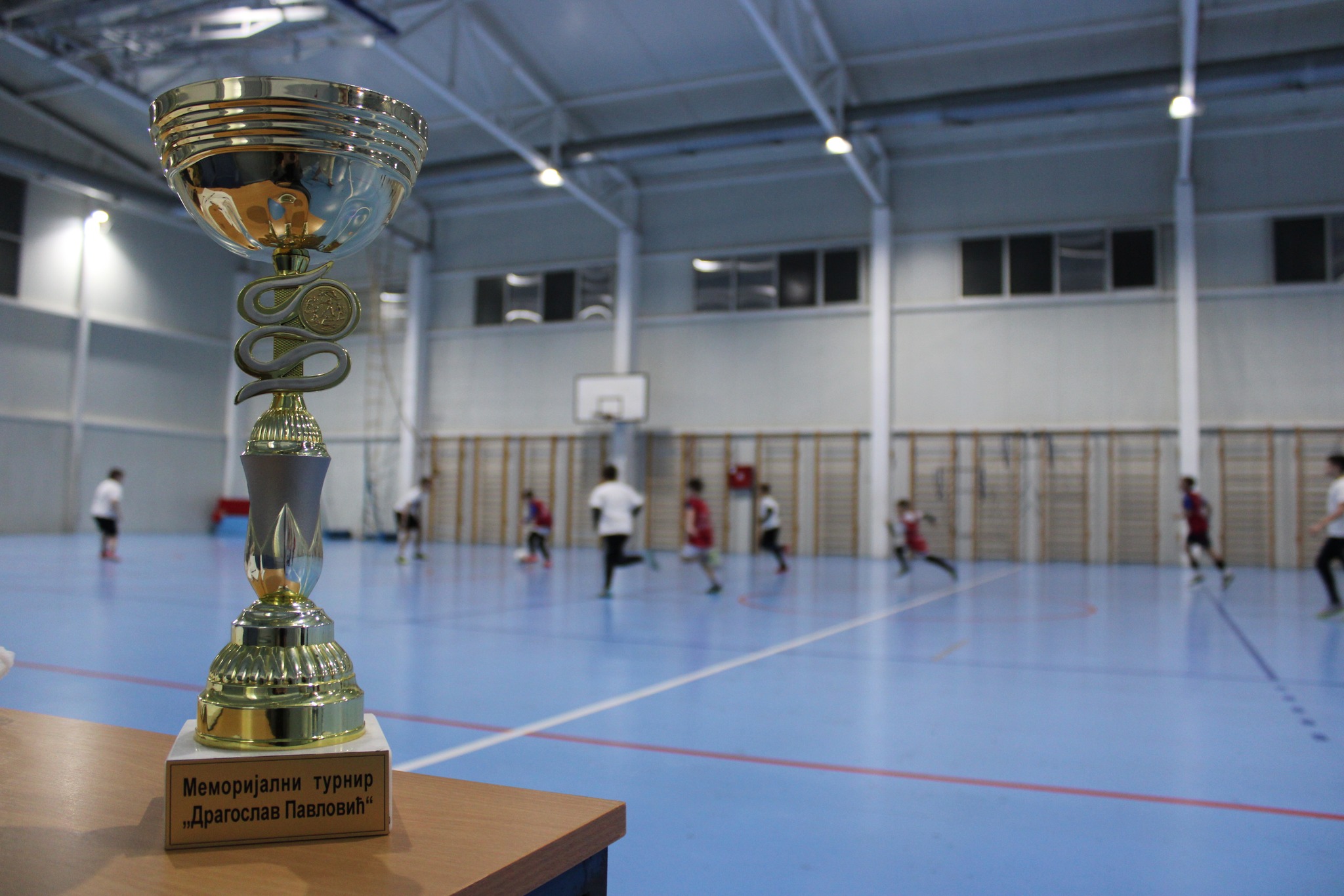 Меморијални турнир "Драгослав Павловић"