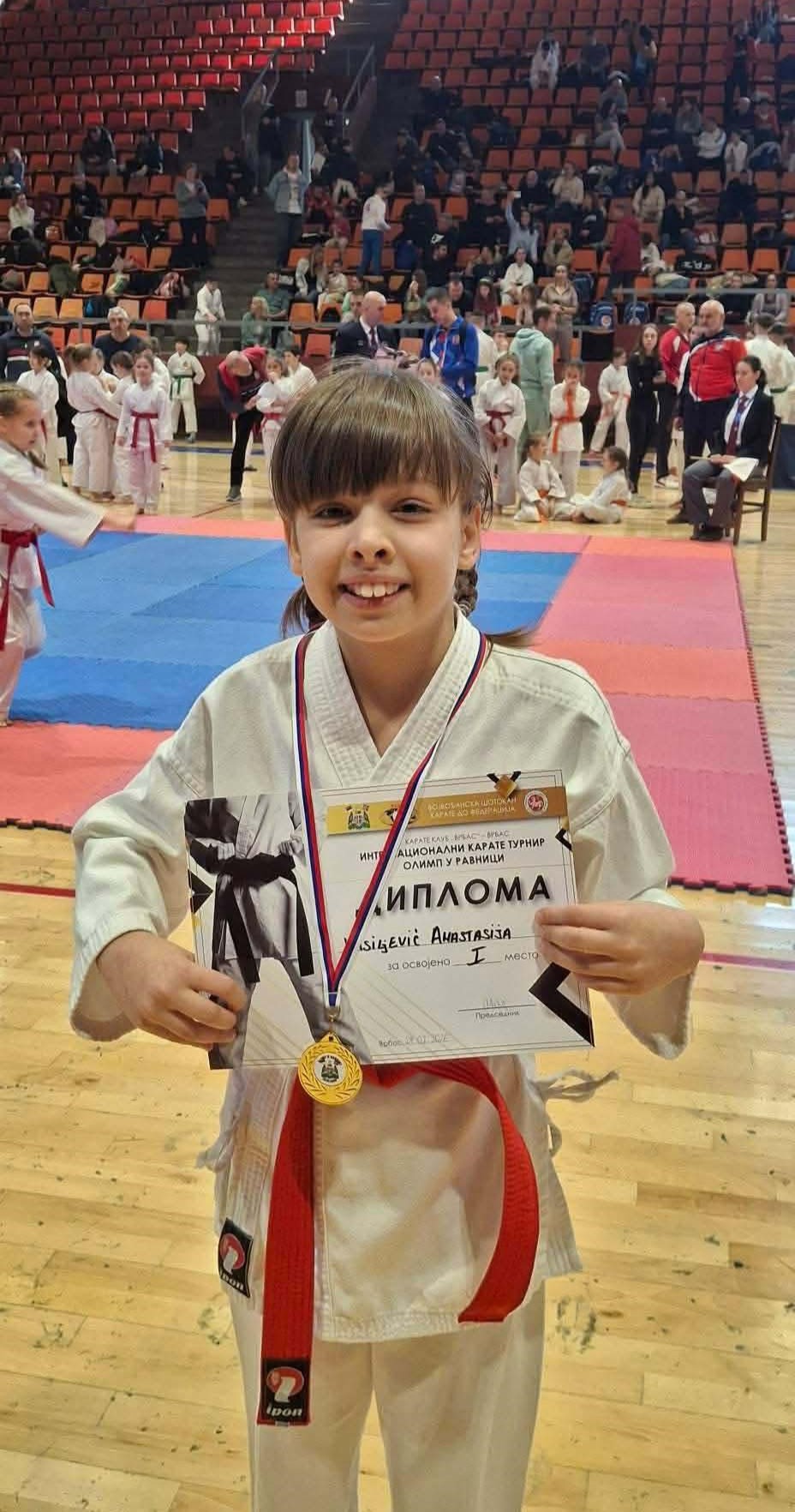 Наши успеси ван школе