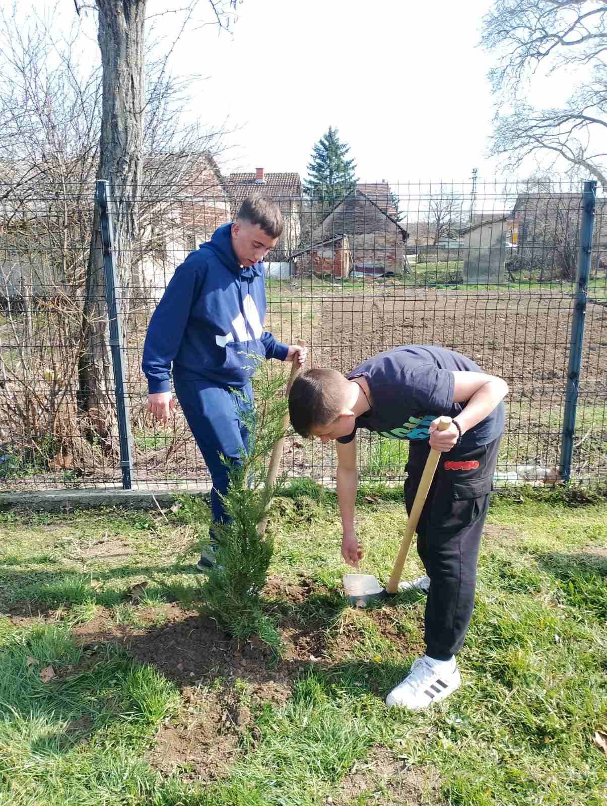 Акција озелењавања у ИО Мачвански Причиновић