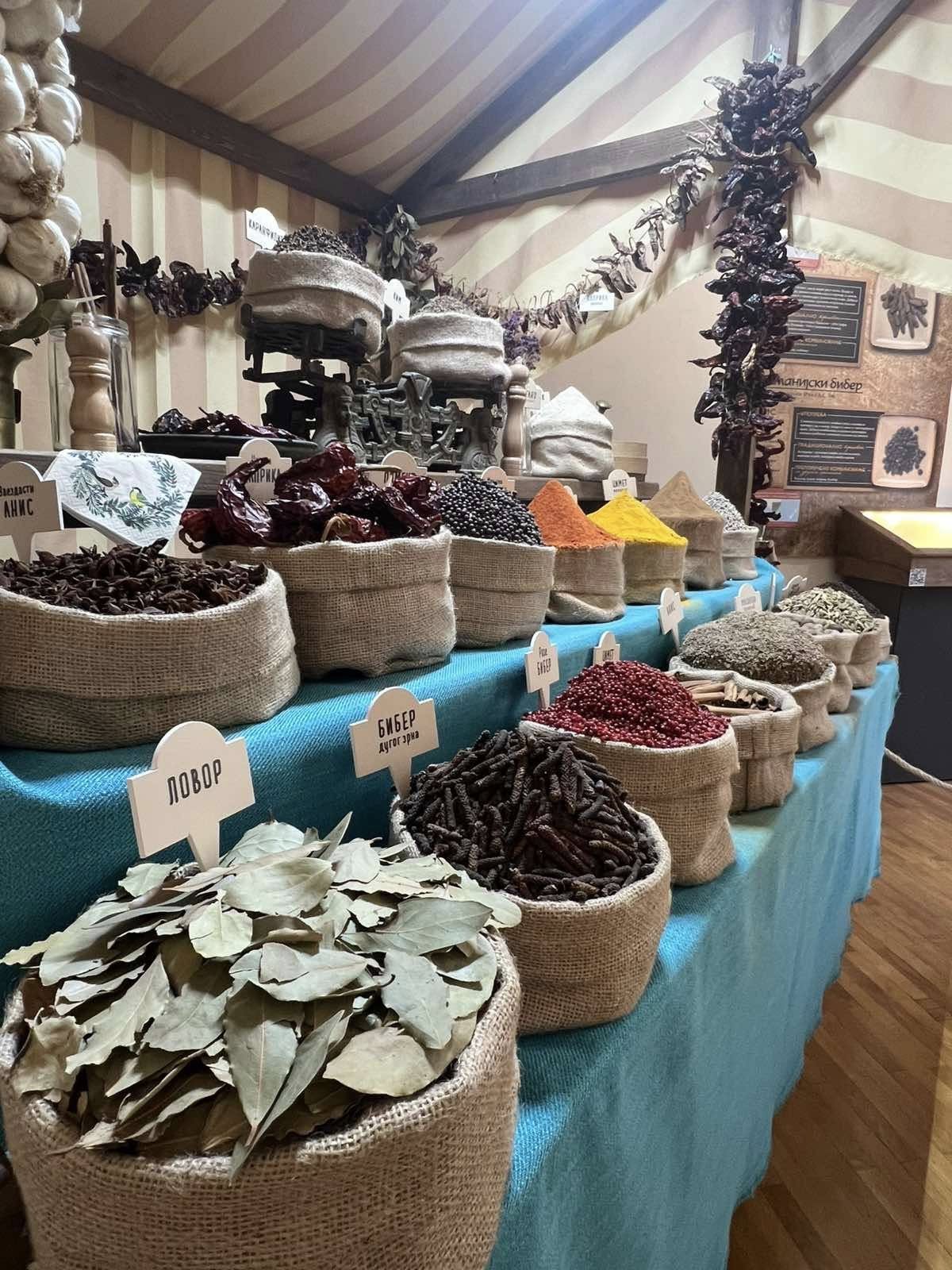 Посета музеју - одељење 5/2