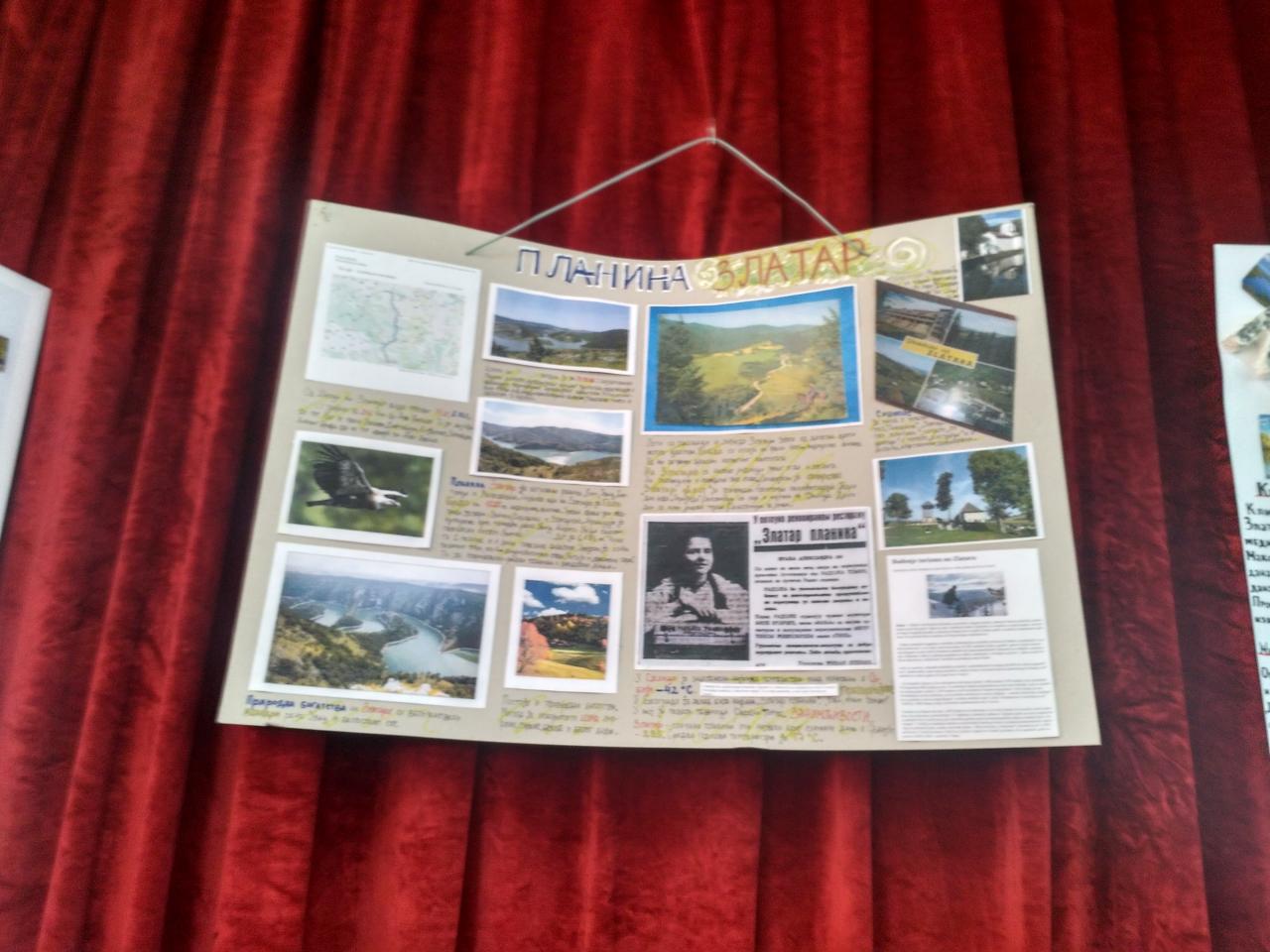 Угледни час- пројектна настава