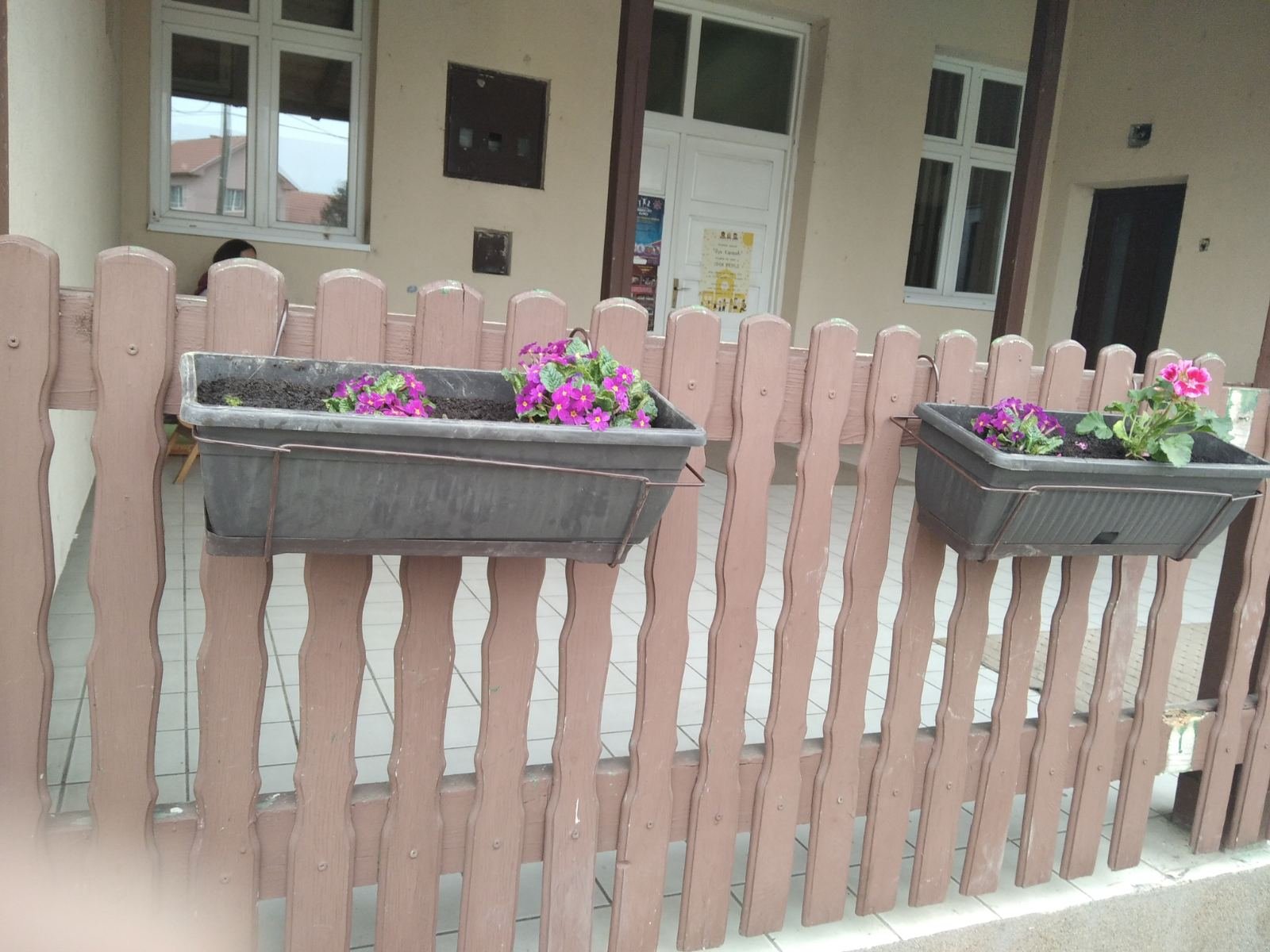 Посадили смо цвеће...